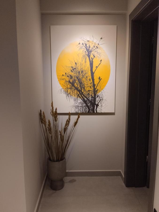 Animus Premium Apt Nafplio Eksteriør billede